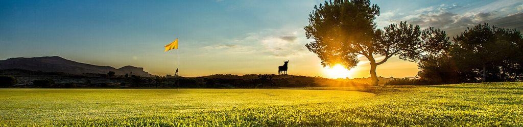 Alenda Golf cover image